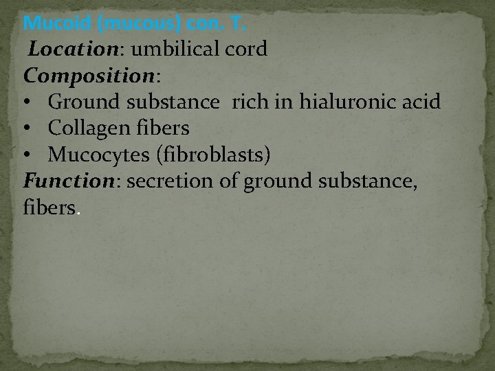 Mucoid (mucous) con. T. Location: umbilical cord Composition: • Ground substance rich in hialuronic