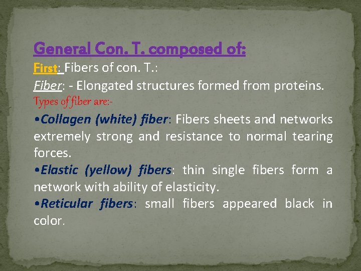 General Con. T. composed of: First: Fibers of con. T. : Fiber: - Elongated