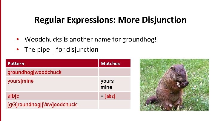 Regular Expressions: More Disjunction • Woodchucks is another name for groundhog! • The pipe