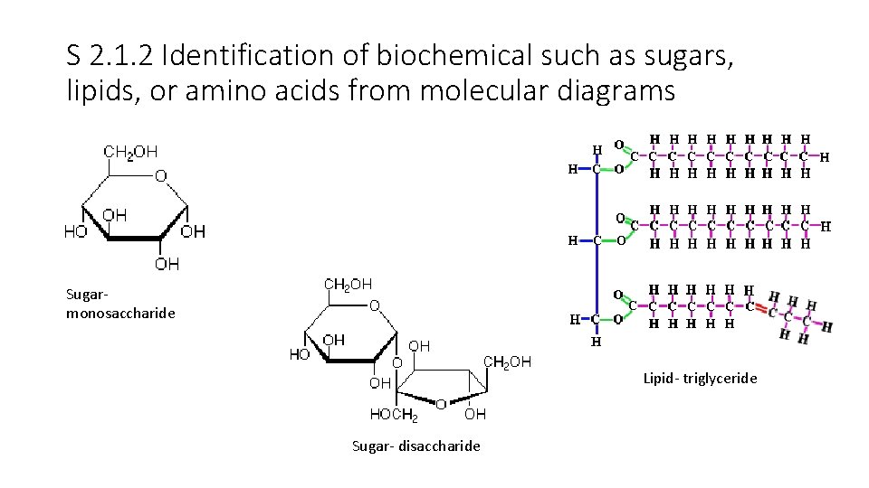 S 2. 1. 2 Identification of biochemical such as sugars, lipids, or amino acids S 2. 1. 2 Identification of biochemical such as sugars, lipids, or amino acids