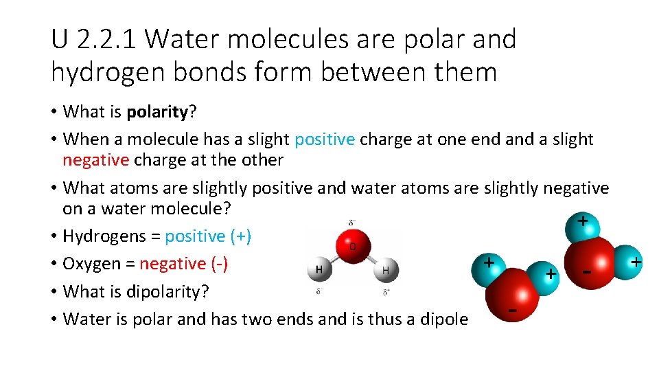 U 2. 2. 1 Water molecules are polar and hydrogen bonds form between them U 2. 2. 1 Water molecules are polar and hydrogen bonds form between them