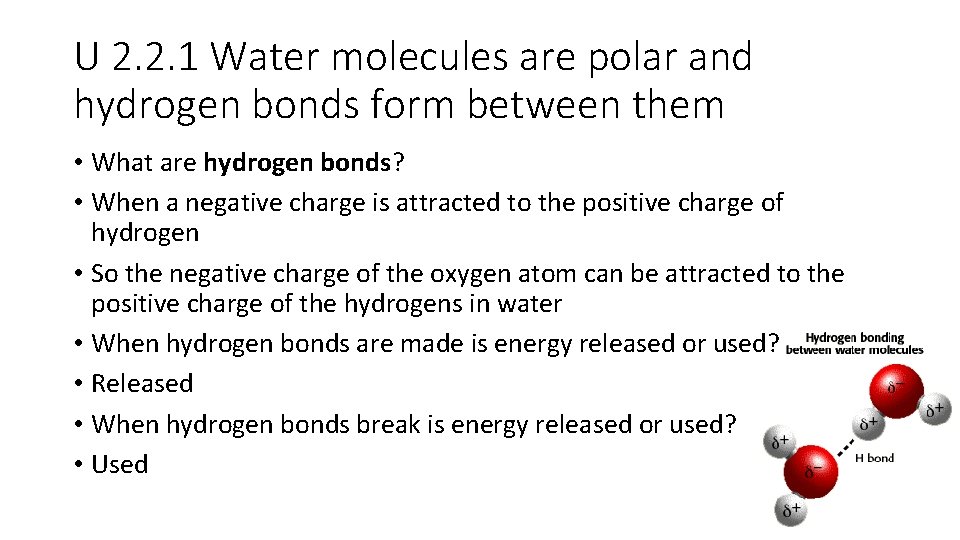 U 2. 2. 1 Water molecules are polar and hydrogen bonds form between them U 2. 2. 1 Water molecules are polar and hydrogen bonds form between them