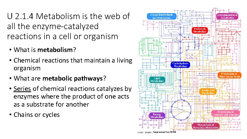 U 2. 1. 4 Metabolism is the web of all the enzyme-catalyzed reactions in U 2. 1. 4 Metabolism is the web of all the enzyme-catalyzed reactions in