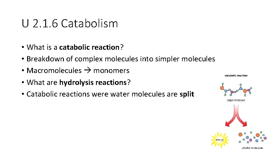 U 2. 1. 6 Catabolism • What is a catabolic reaction? • Breakdown of U 2. 1. 6 Catabolism • What is a catabolic reaction? • Breakdown of