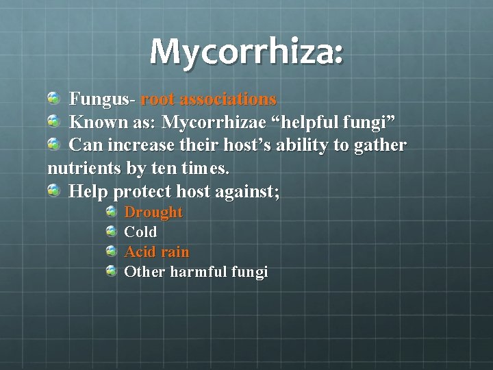 Mycorrhiza: Fungus- root associations Known as: Mycorrhizae “helpful fungi” Can increase their host’s ability
