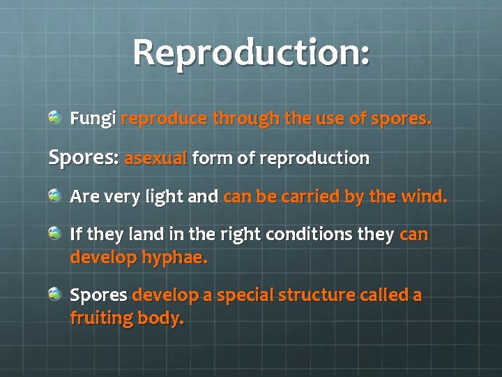 Reproduction: Fungi reproduce through the use of spores. Spores: asexual form of reproduction Are