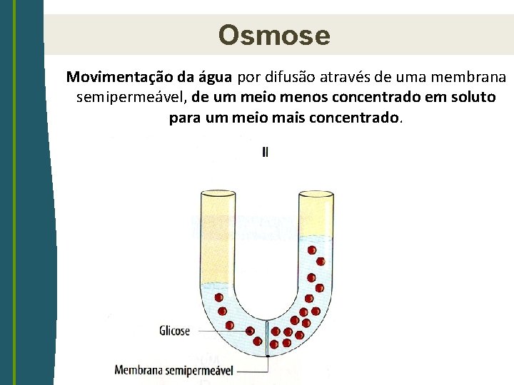 Osmose Movimentação da água por difusão através de uma membrana semipermeável, de um meio