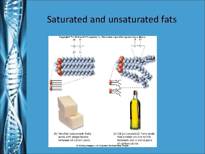 Saturated and unsaturated fats 