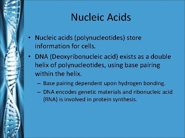 Nucleic Acids • Nucleic acids (polynucleotides) store information for cells. • DNA (Deoxyribonucleic acid)