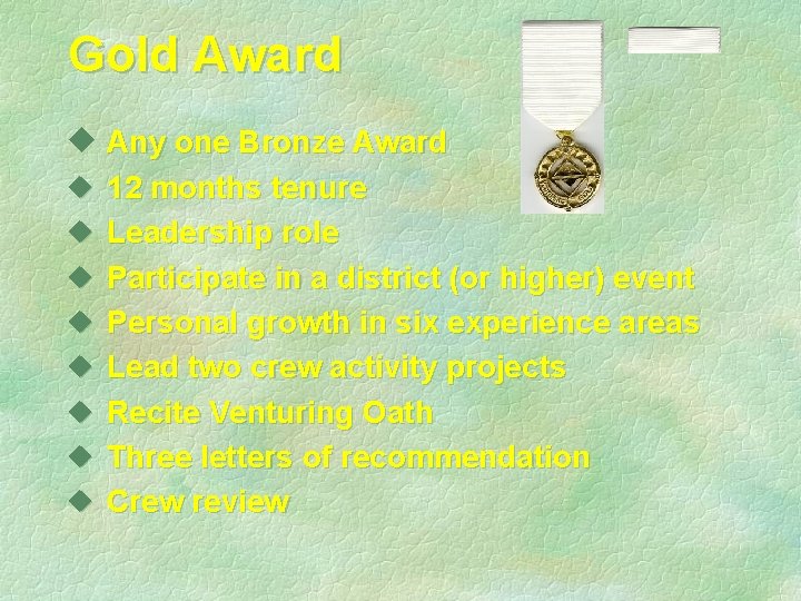 Gold Award u Any one Bronze Award u u u u 12 months tenure