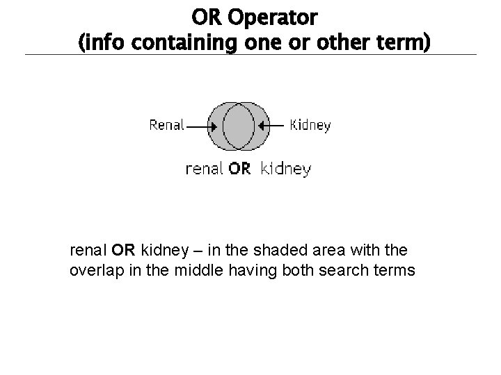 OR Operator (info containing one or other term) renal OR kidney – in the