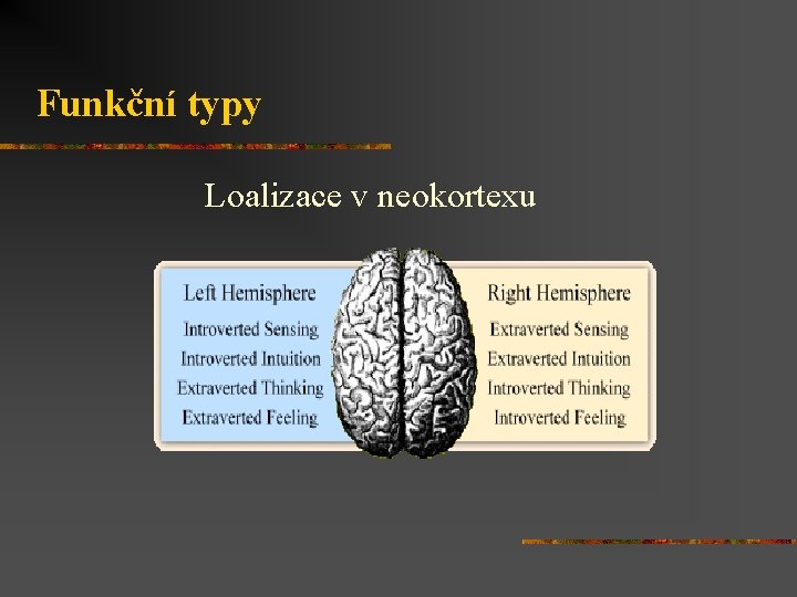 Funkční typy Loalizace v neokortexu 