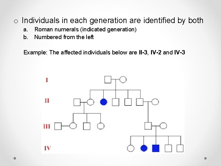 o Individuals in each generation are identified by both a. b. Roman numerals (indicated