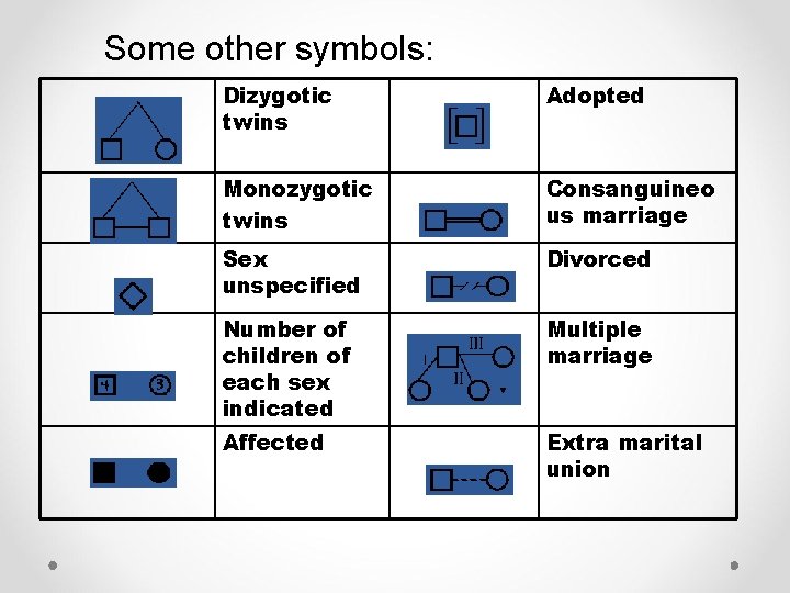 Some other symbols: Dizygotic twins Adopted Monozygotic twins Consanguineo us marriage Sex unspecified Divorced