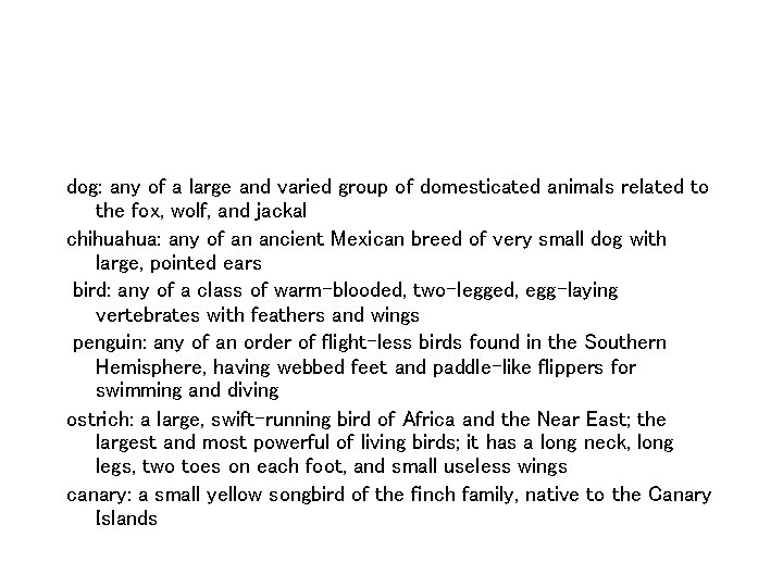 dog: any of a large and varied group of domesticated animals related to the dog: any of a large and varied group of domesticated animals related to the