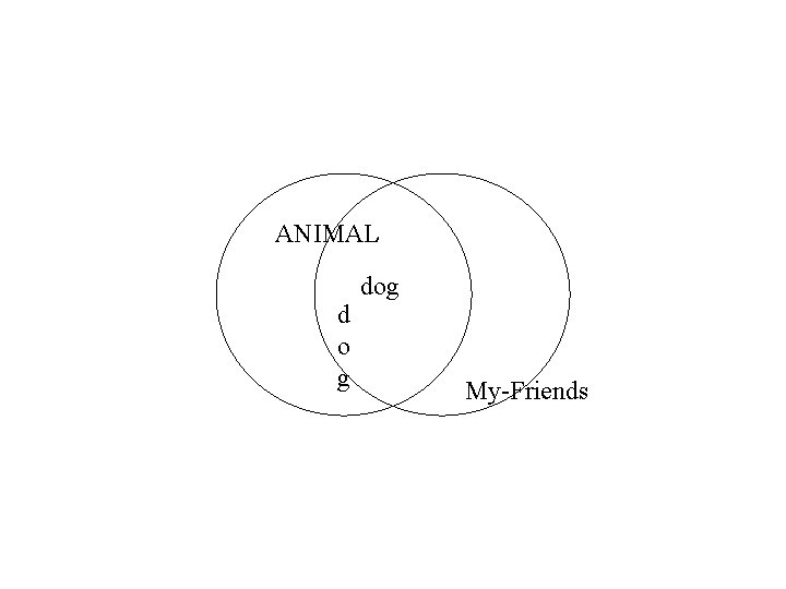 ANIMAL d o g dog My-Friends ANIMAL d o g dog My-Friends