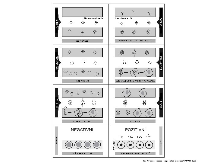 http: //www. virion-serion. de/uploads/mit_download/CFT-V 9 -CZ. pdf 