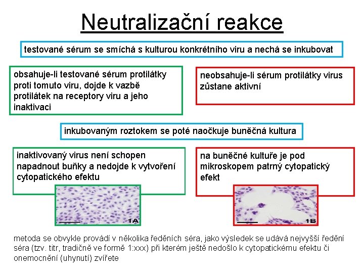 Neutralizační reakce testované sérum se smíchá s kulturou konkrétního viru a nechá se inkubovat