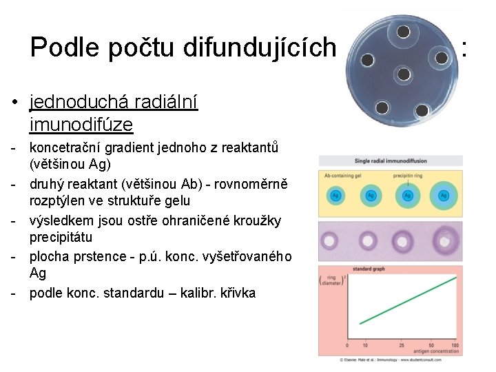 Podle počtu difundujících reaktantů: • jednoduchá radiální imunodifúze - koncetrační gradient jednoho z reaktantů