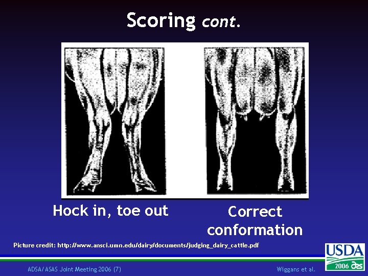 Scoring Hock in, toe out cont. Correct conformation Picture credit: http: //www. ansci. umn.