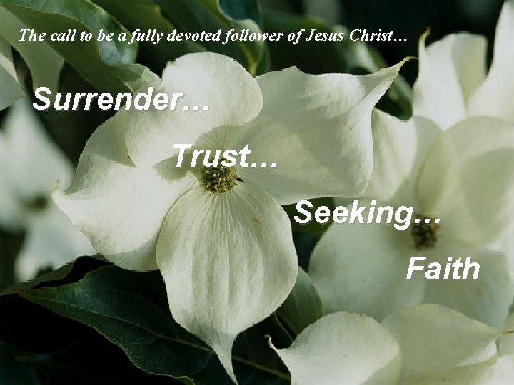 The call to be a fully devoted follower of Jesus Christ… Surrender… Trust… Seeking…