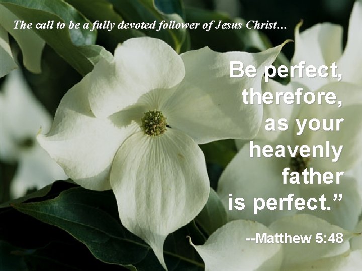 The call to be a fully devoted follower of Jesus Christ… Be perfect, therefore,