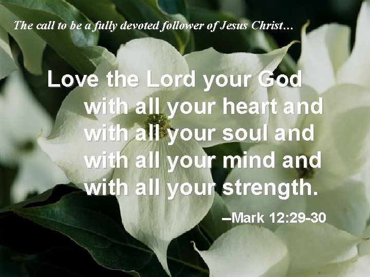 The call to be a fully devoted follower of Jesus Christ… Love the Lord