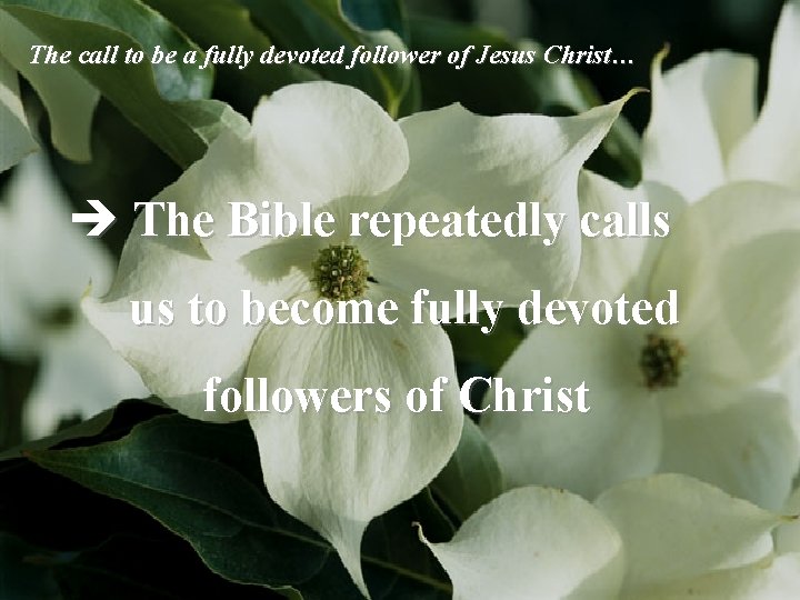 The call to be a fully devoted follower of Jesus Christ… è The Bible