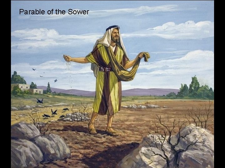 Parable of the Sower 