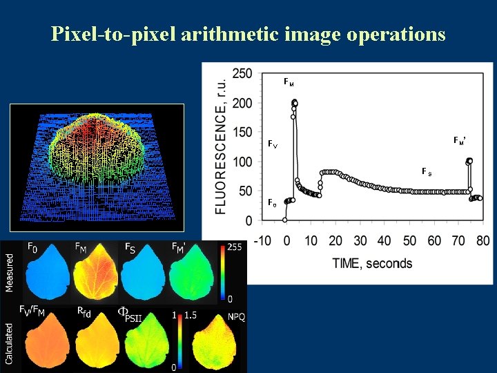 Pixel-to-pixel arithmetic image operations FM F M’ FV FS F 0 