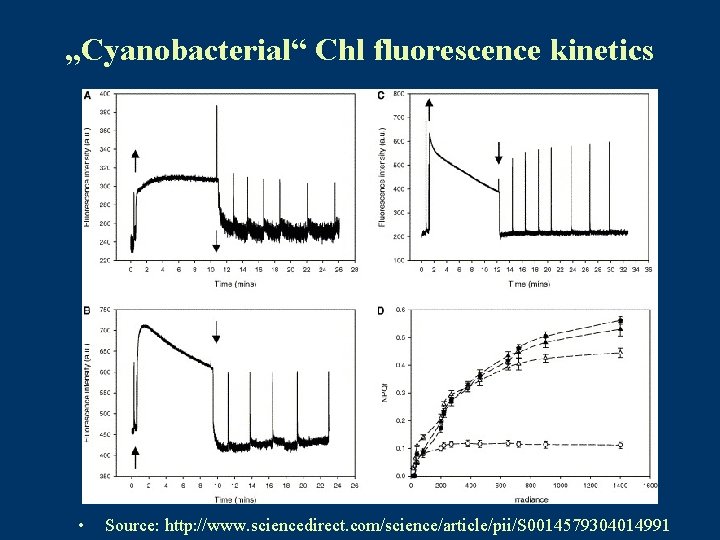 „Cyanobacterial“ Chl fluorescence kinetics • Source: http: //www. sciencedirect. com/science/article/pii/S 0014579304014991 