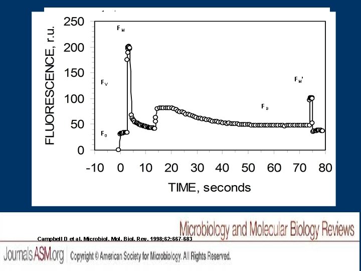 FM Fluorescence emission trace for cyanobacterial quenching analysis. F M’ FV FS F 0