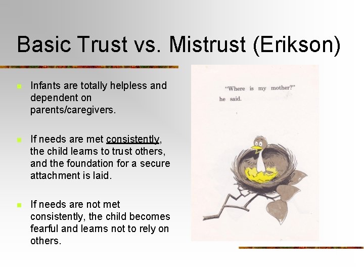 Basic Trust vs. Mistrust (Erikson) n Infants are totally helpless and dependent on parents/caregivers.