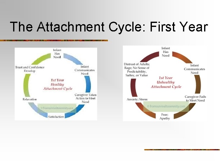 The Attachment Cycle: First Year 