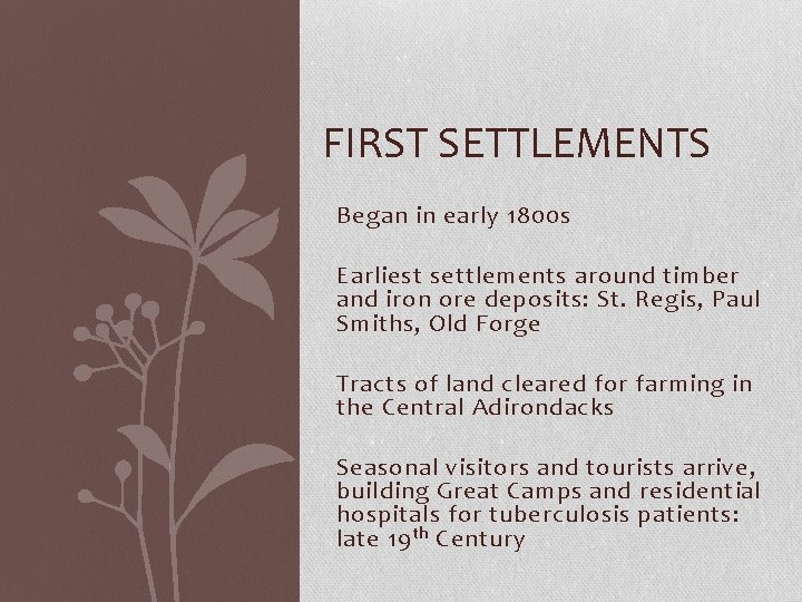 FIRST SETTLEMENTS Began in early 1800 s Earliest settlements around timber and iron ore