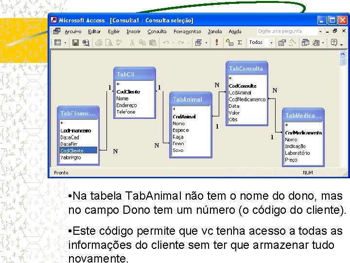 Exemplo de Banco de Dados Veterinário 1 1 N N • Na tabela Tab.