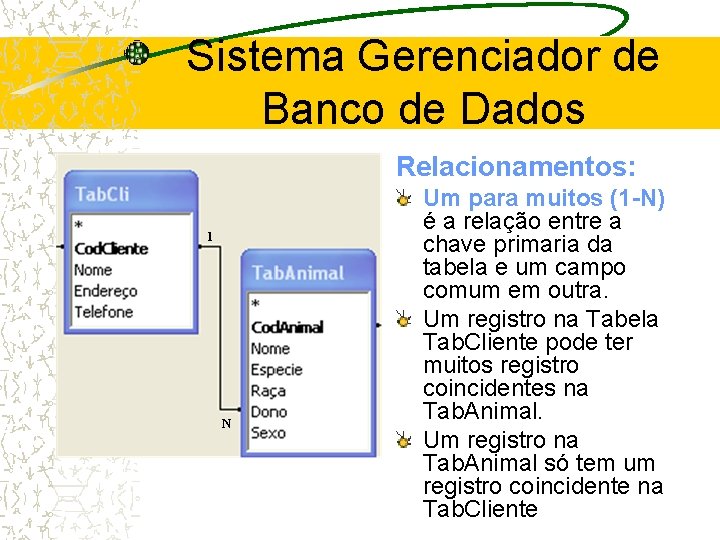 Sistema Gerenciador de Banco de Dados Relacionamentos: 1 N Um para muitos (1 -N)