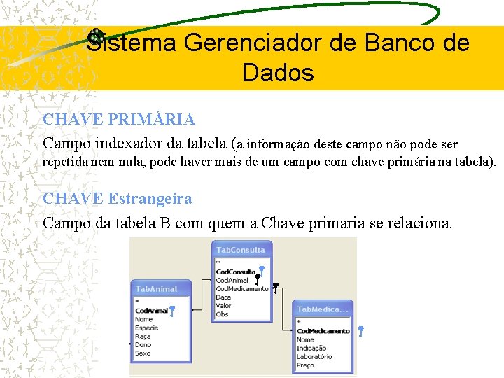 Sistema Gerenciador de Banco de Dados CHAVE PRIMÁRIA Campo indexador da tabela (a informação