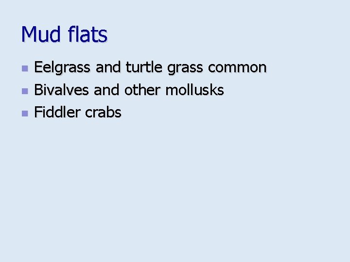 Mud flats n n n Eelgrass and turtle grass common Bivalves and other mollusks