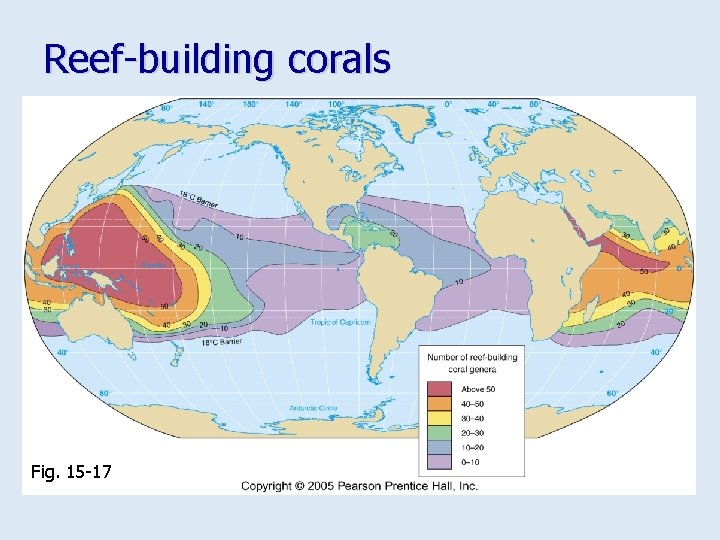 Reef-building corals Fig. 15 -17 