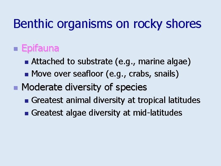 Benthic organisms on rocky shores n Epifauna Attached to substrate (e. g. , marine