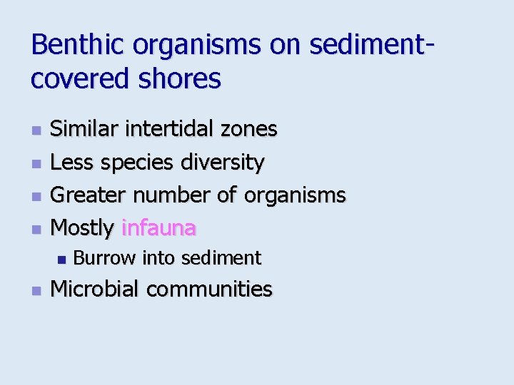 Benthic organisms on sedimentcovered shores n n Similar intertidal zones Less species diversity Greater