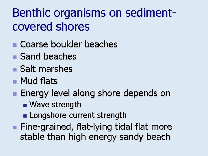 Benthic organisms on sedimentcovered shores n n n Coarse boulder beaches Sand beaches Salt