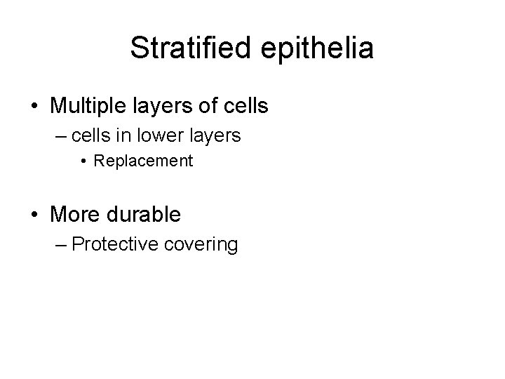 Stratified epithelia • Multiple layers of cells – cells in lower layers • Replacement