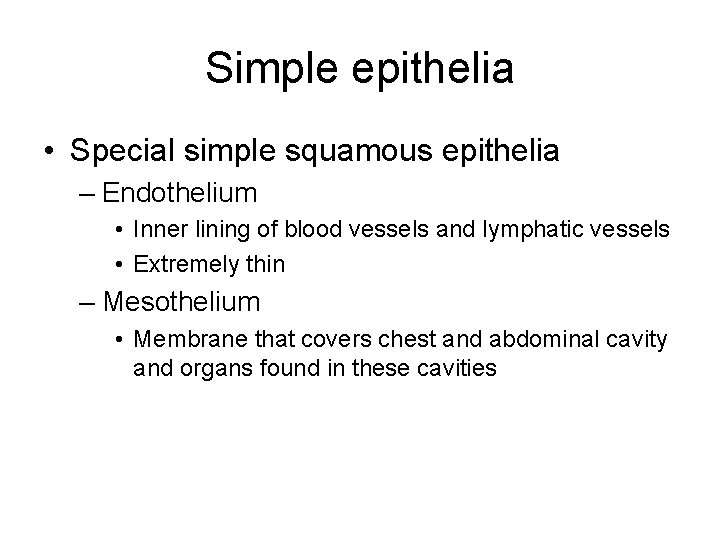 Simple epithelia • Special simple squamous epithelia – Endothelium • Inner lining of blood