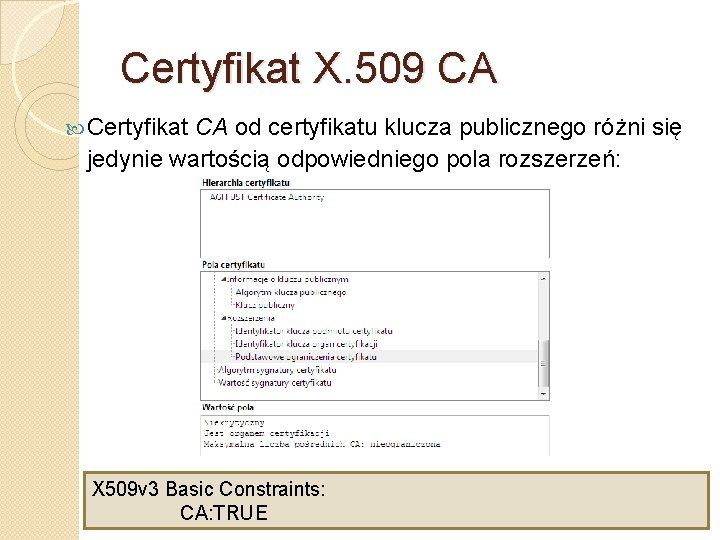 Certyfikat X. 509 CA Certyfikat CA od certyfikatu klucza publicznego różni się jedynie wartością