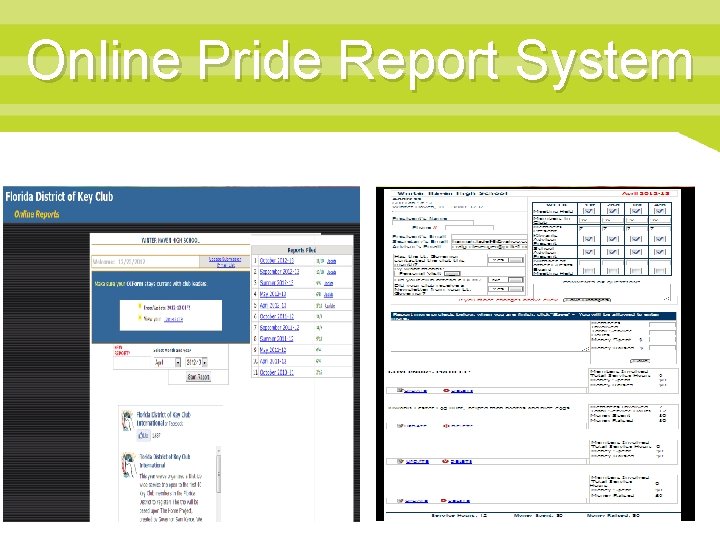 Online Pride Report System 