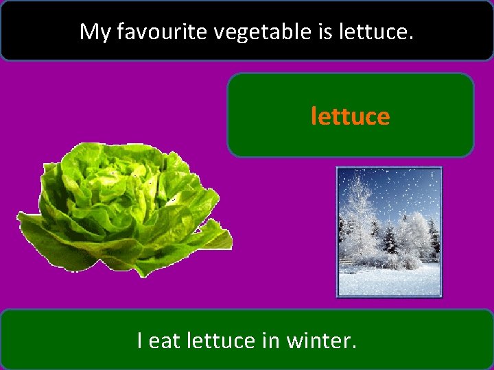 My favourite vegetable is lettuce I eat lettuce in winter. 