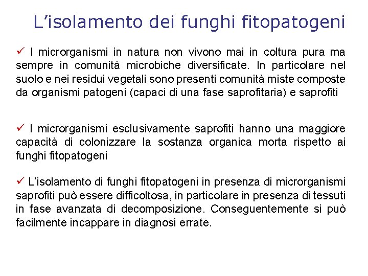 L’isolamento dei funghi fitopatogeni I microrganismi in natura non vivono mai in coltura pura