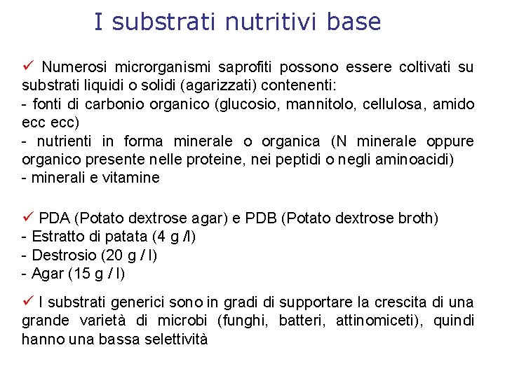 I substrati nutritivi base Numerosi microrganismi saprofiti possono essere coltivati su substrati liquidi o